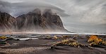 Testi Bruno-Landscape